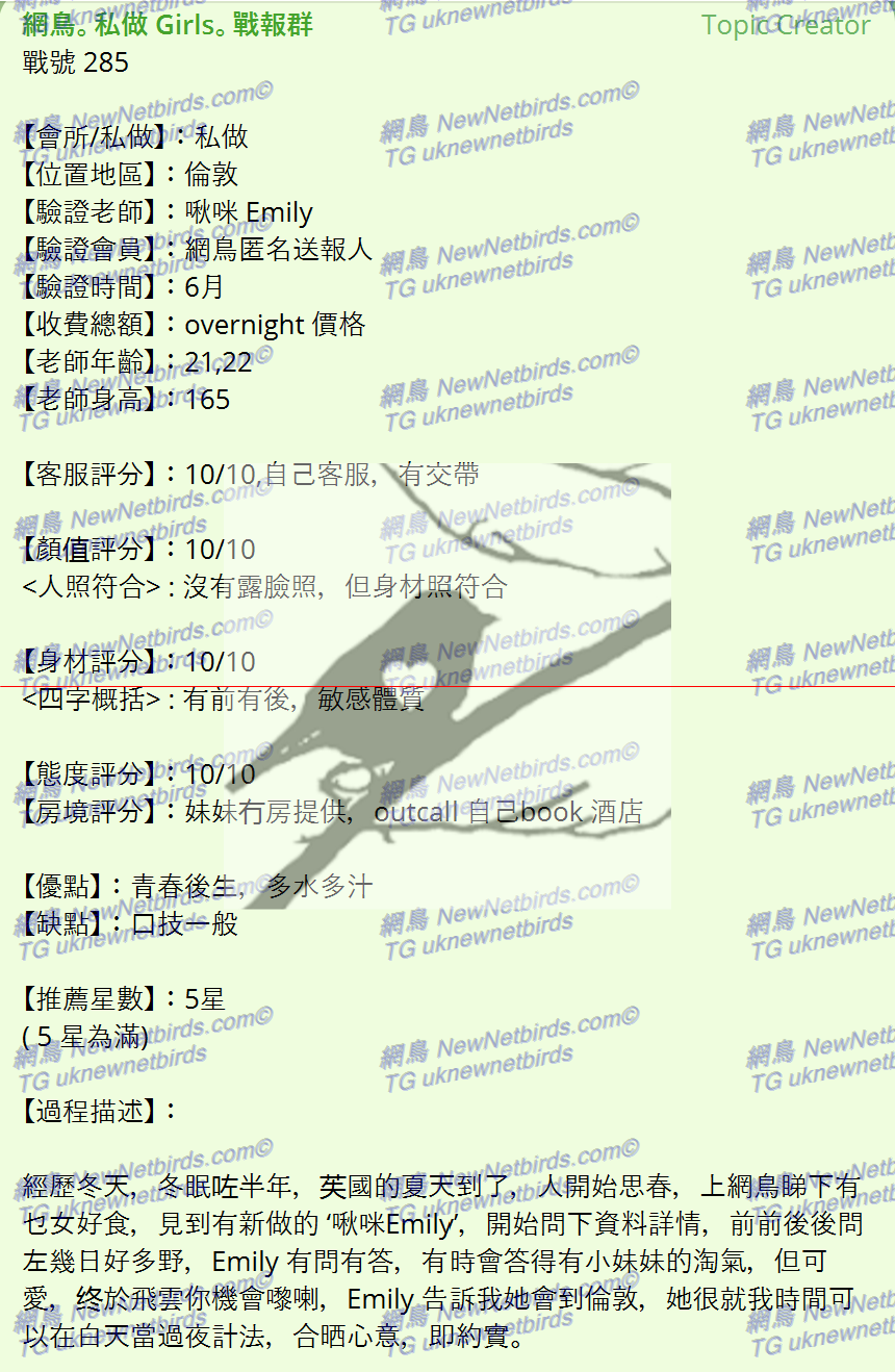 戰號 285 1.png